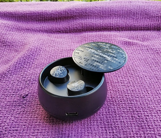 Tronsmart spunky pro true wireless earbuds sale